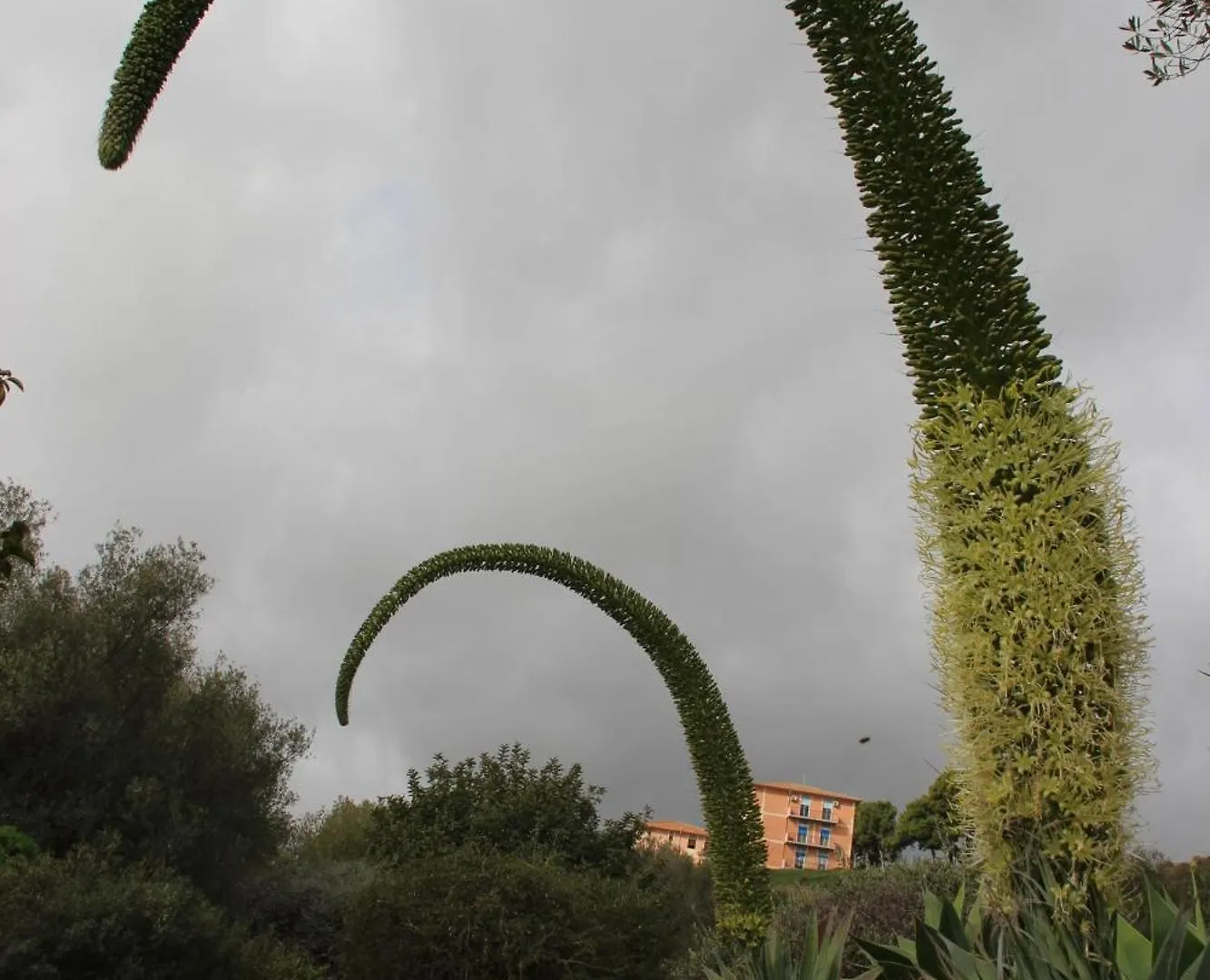 سان ليون B&B Villa Adriana سان ليون